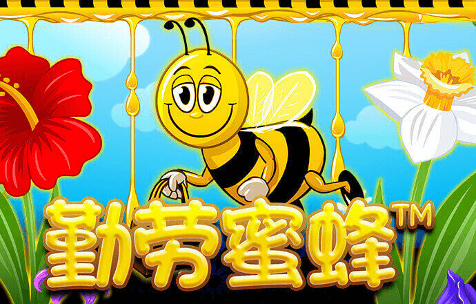 丝瓜官方网站
